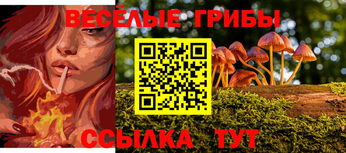  КОКАИН Берёзовский