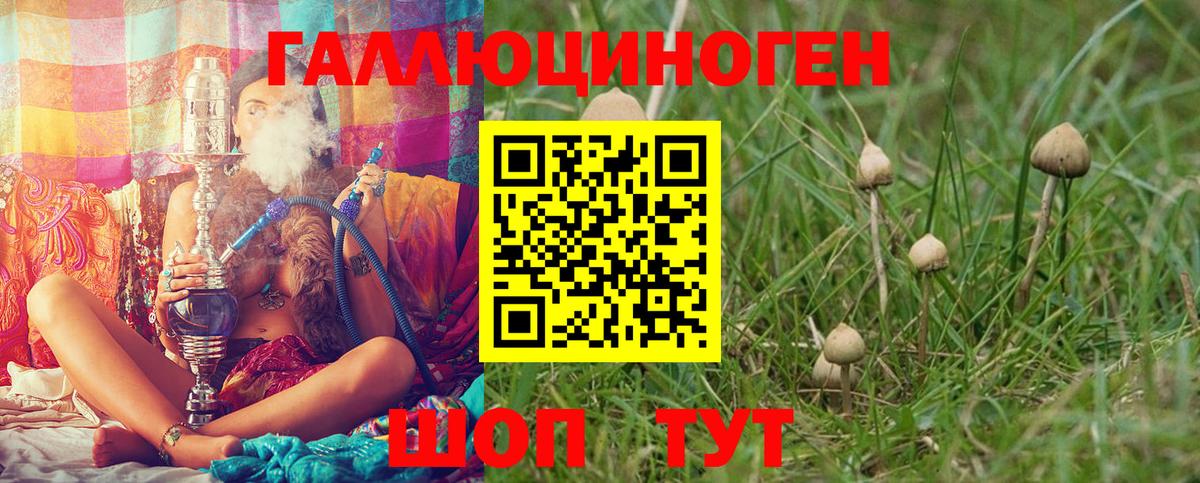Псилоцибиновые грибы MAGIC MUSHROOMS  Вход с VPN  Берёзовский 