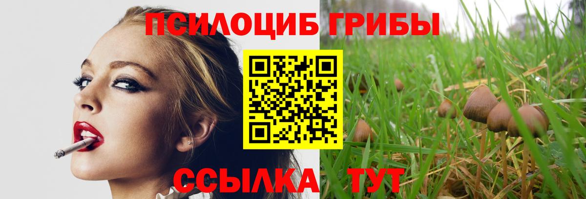 Галлюциногенные грибы мицелий Берёзовский